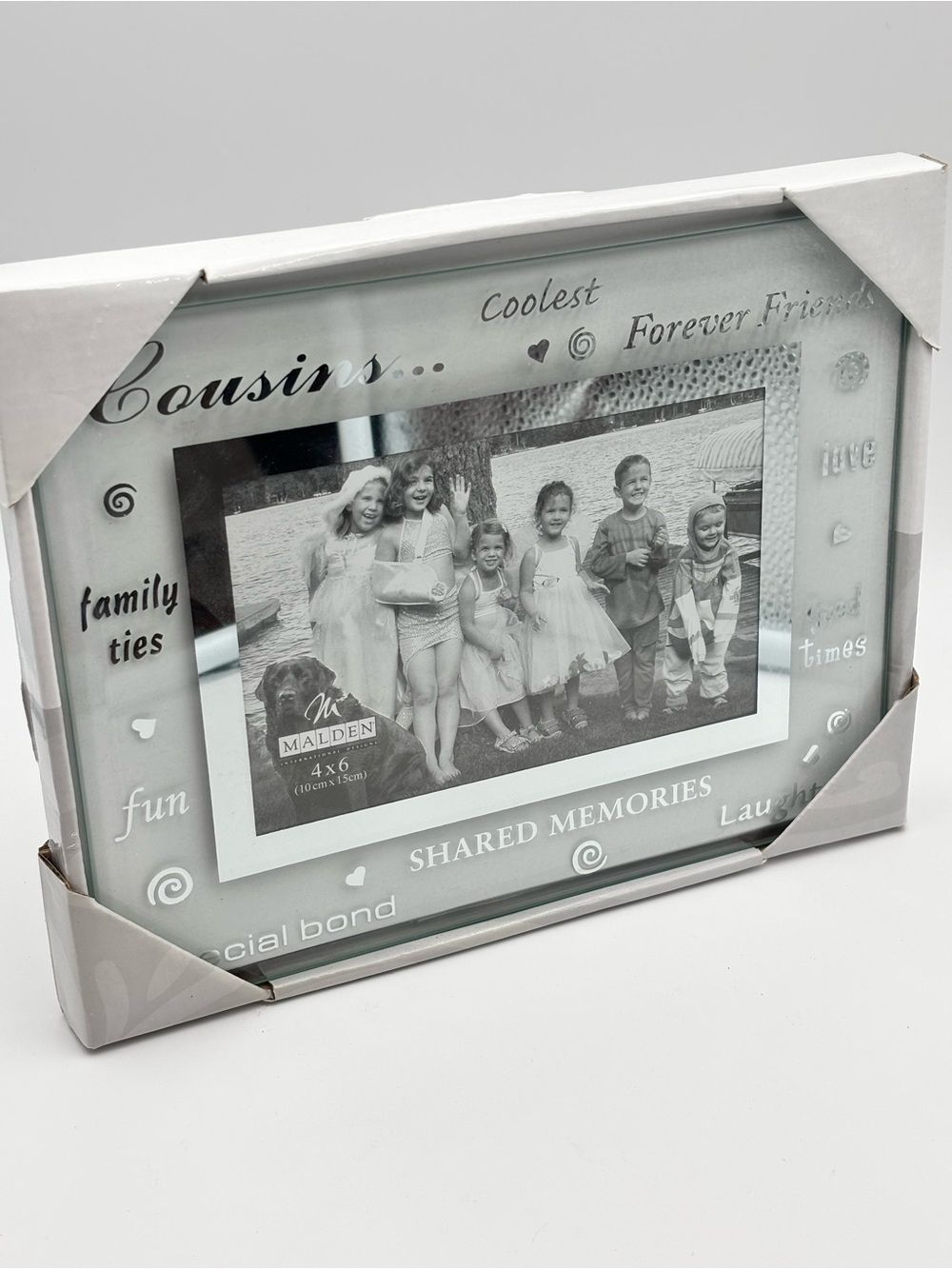 Malden Silver 'Cousins' Shared Memories Glass Picture Frame